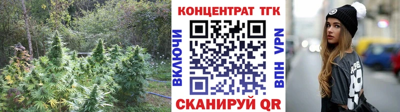 MEGA Мосальск Дистиллят ТГК гашишное масло