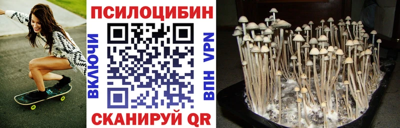 Галлюциногенные грибы прущие грибы  Мосальск 